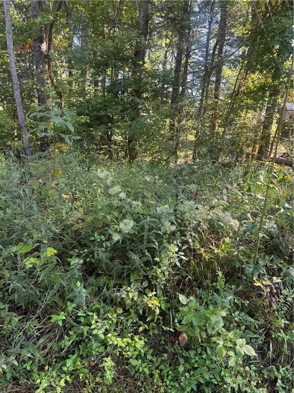 single family residence under contract at Lot 3 Roberts Ridge Road, Ellijay, GA 30540 — photo 6