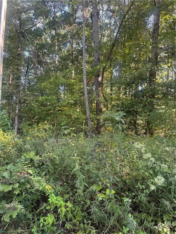 single family residence under contract at Lot 3 Roberts Ridge Road, Ellijay, GA 30540 — photo 7