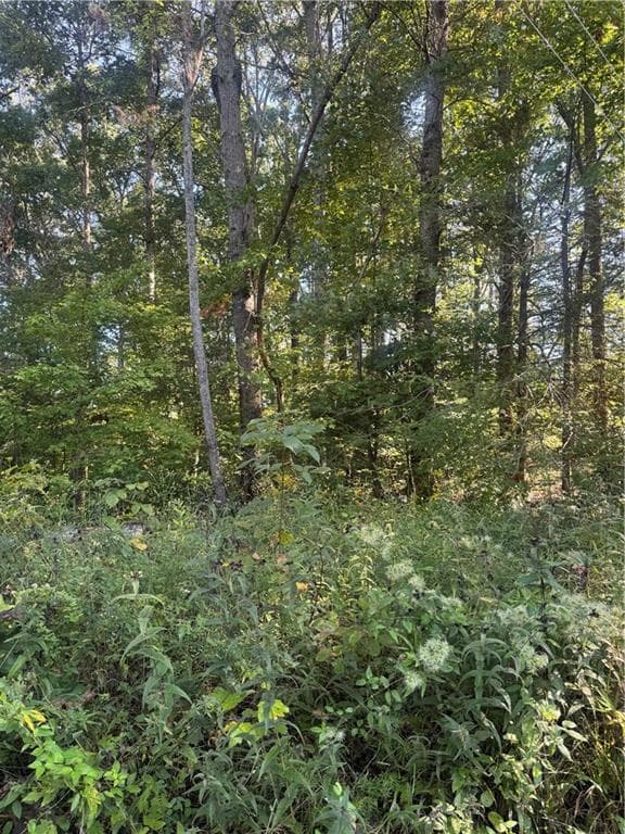 single family residence under contract at Lot 3 Roberts Ridge Road, Ellijay, GA 30540 — photo 8