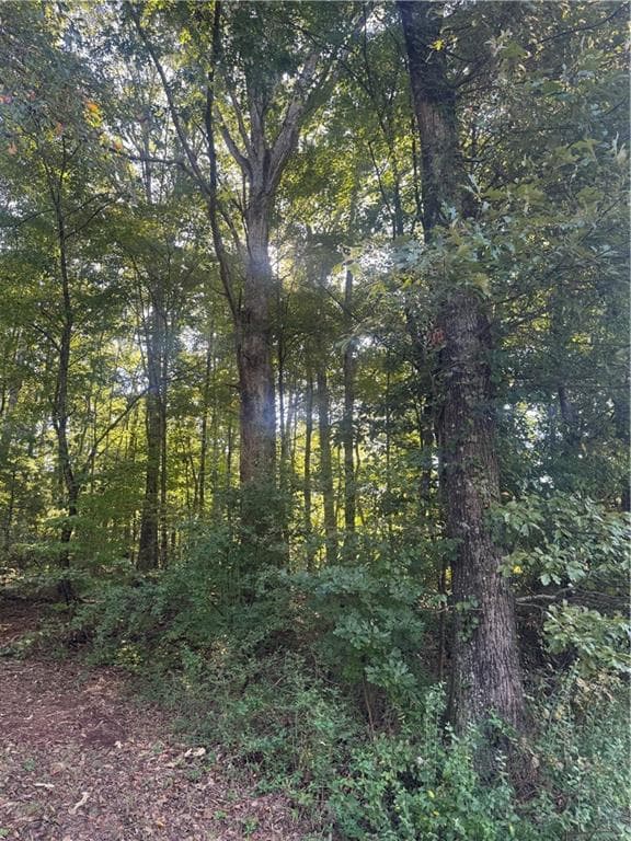 single family residence under contract at Lot 5 Roberts Ridge Road, Ellijay, GA 30540 — photo 4