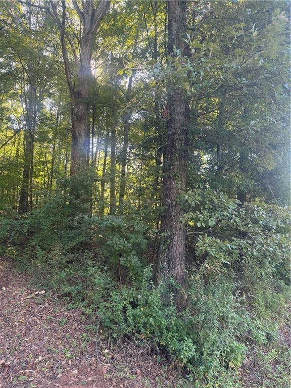 single family residence under contract at Lot 5 Roberts Ridge Road, Ellijay, GA 30540 — photo 5