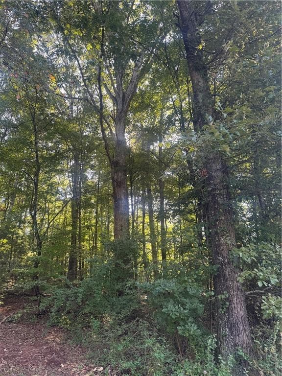 single family residence under contract at Lot 5 Roberts Ridge Road, Ellijay, GA 30540 — photo 6