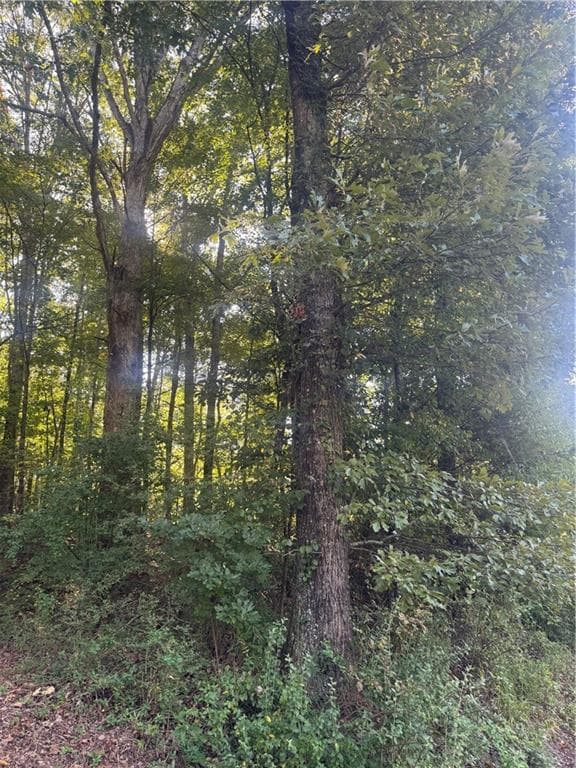 single family residence under contract at Lot 5 Roberts Ridge Road, Ellijay, GA 30540 — photo 7