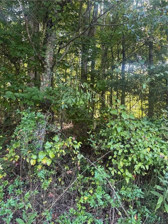 single family residence under contract at Lot 5 Roberts Ridge Road, Ellijay, GA 30540 — photo 8
