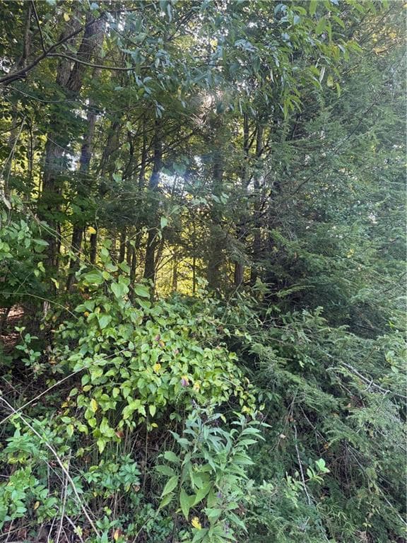 single family residence under contract at Lot 5 Roberts Ridge Road, Ellijay, GA 30540 — photo 9