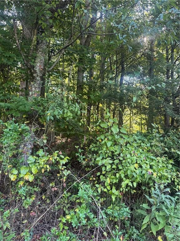 single family residence under contract at Lot 5 Roberts Ridge Road, Ellijay, GA 30540 — photo 10