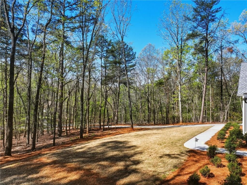4 bedroom, 3 bathroom, 3,037 sq ft single family residence for sale at 320 Fern Park Drive, Dawsonville, GA 30534 — photo 8