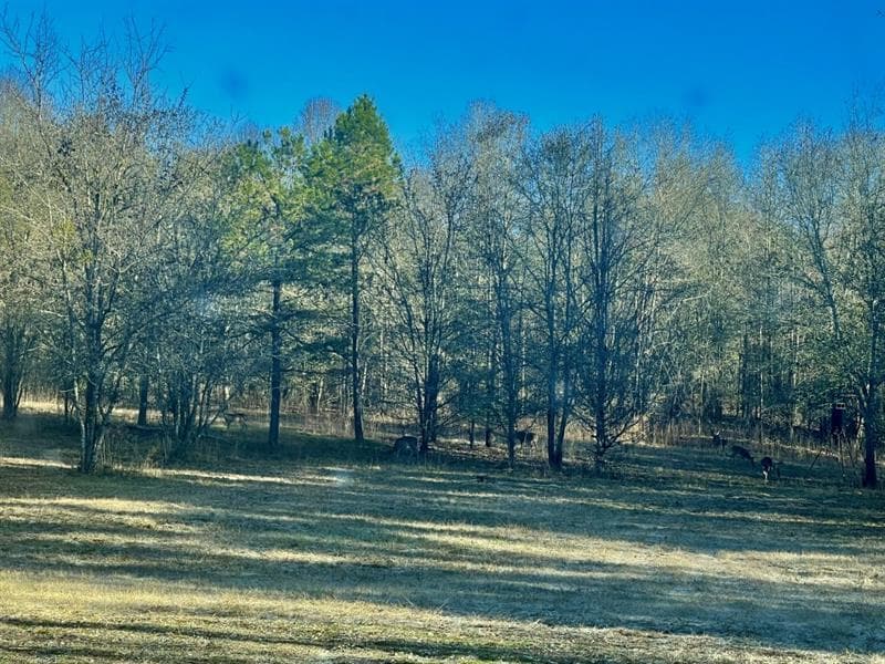 other for sale at 1072 Ford Road, Jefferson, GA 30549 — photo 1 of 5