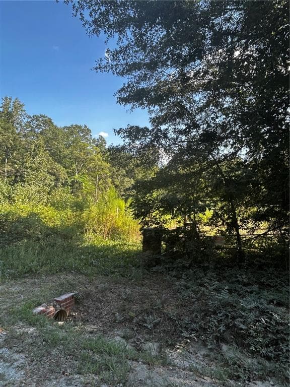 single family residence for sale at 12345 Hamilton Road, Palmetto, GA 30268 — photo 5