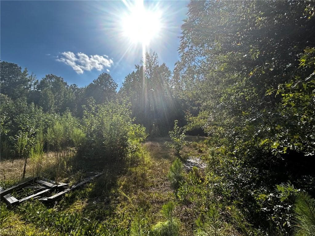 single family residence for sale at 12345 Hamilton Road, Palmetto, GA 30268 — photo 8