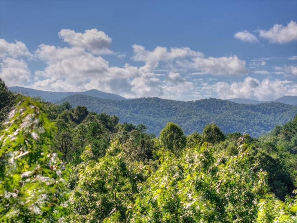 3 bedroom, 3 bathroom, 2,660 sq ft single family residence for sale at 12 N Dream Catcher, Blue Ridge, GA 30513 — photo 4