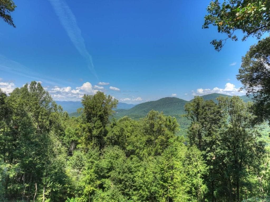 3 bedroom, 3 bathroom, 2,318 sq ft single family residence for sale at 917 Walnut Ridge, Ellijay, GA 30536 — photo 2