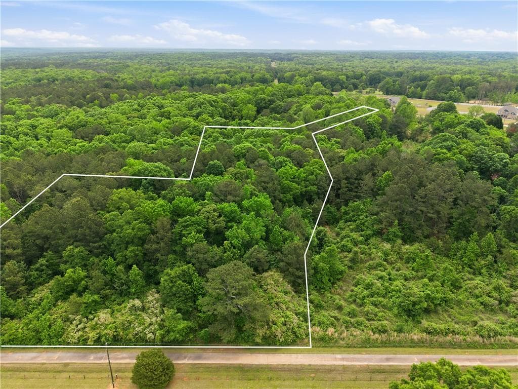 unimproved land for sale at 301 Singley Drive, Locust Grove, GA 30248 — photo 2