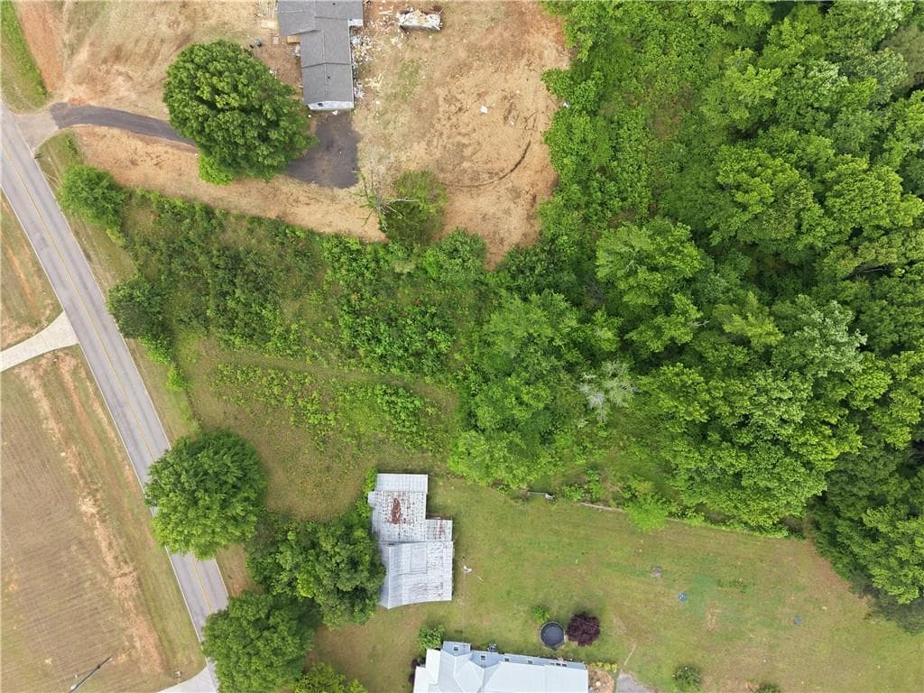 unimproved land for sale at 301 Singley Drive, Locust Grove, GA 30248 — photo 3
