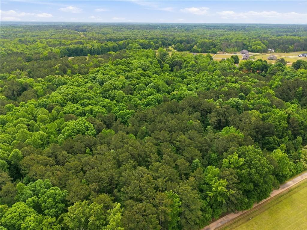 unimproved land for sale at 301 Singley Drive, Locust Grove, GA 30248 — photo 4