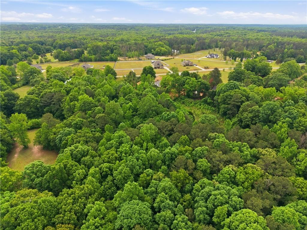 unimproved land for sale at 301 Singley Drive, Locust Grove, GA 30248 — photo 6