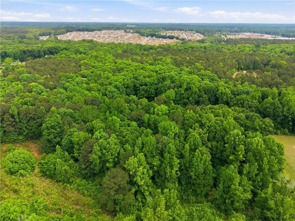 unimproved land for sale at 301 Singley Drive, Locust Grove, GA 30248 — photo 7