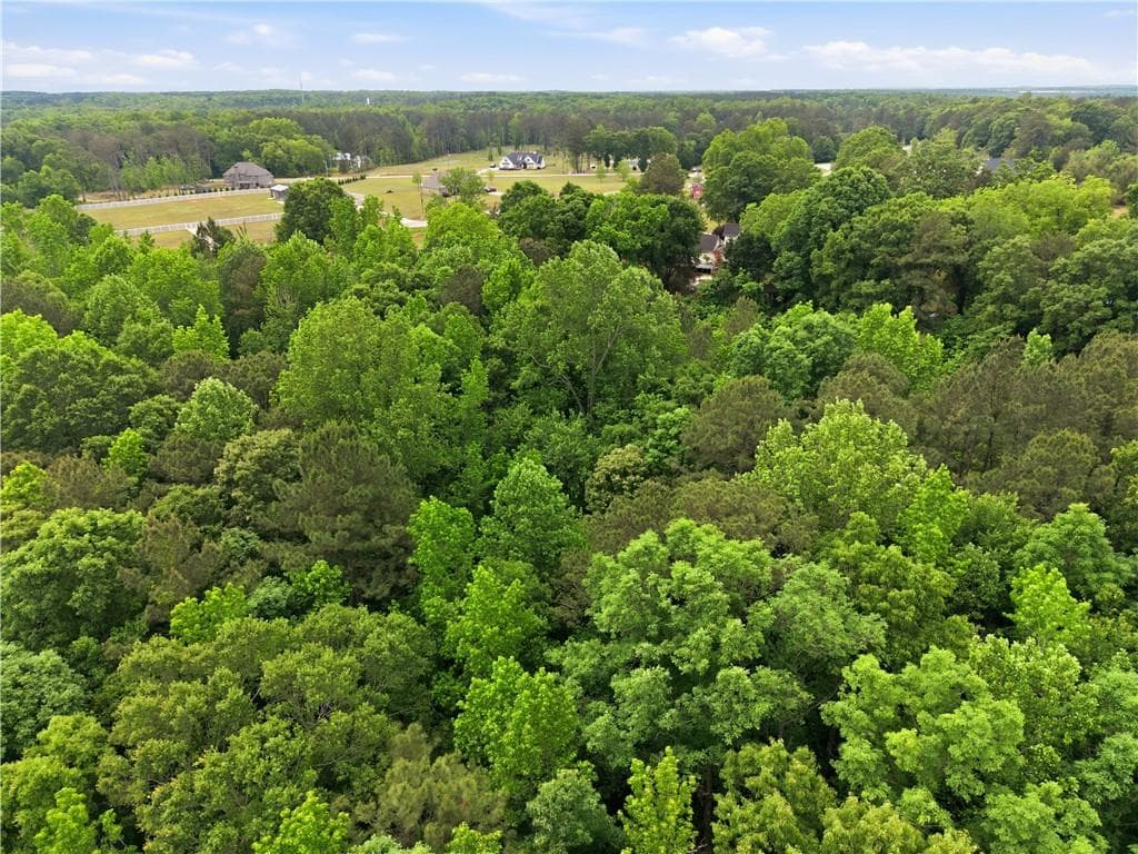 unimproved land for sale at 301 Singley Drive, Locust Grove, GA 30248 — photo 8