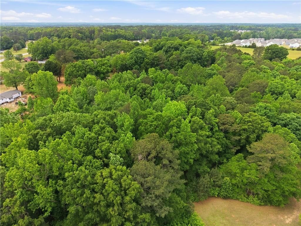 unimproved land for sale at 301 Singley Drive, Locust Grove, GA 30248 — photo 9