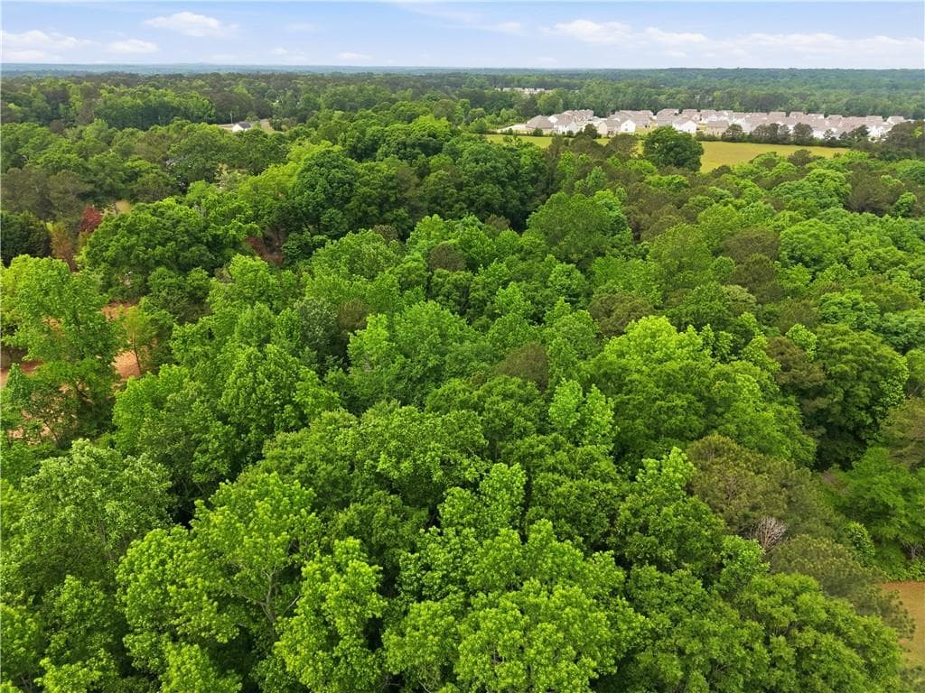 unimproved land for sale at 301 Singley Drive, Locust Grove, GA 30248 — photo 10