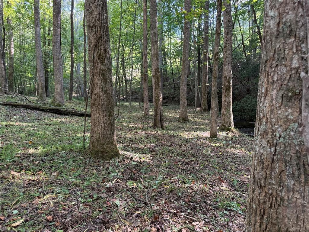 4 bedroom, 3 bathroom, 1,822 sq ft single family residence for sale at 149 Hidden Creek Road, Jasper, GA 30143 — photo 10