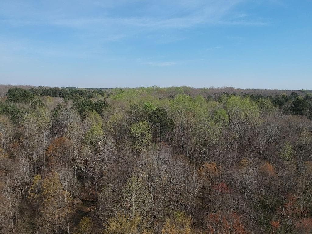 other for sale at 0 Cobb Road, Covington, GA 30014 — photo 2