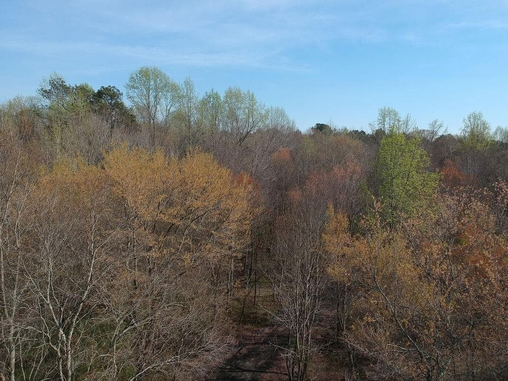 other for sale at 0 Cobb Road, Covington, GA 30014 — photo 4