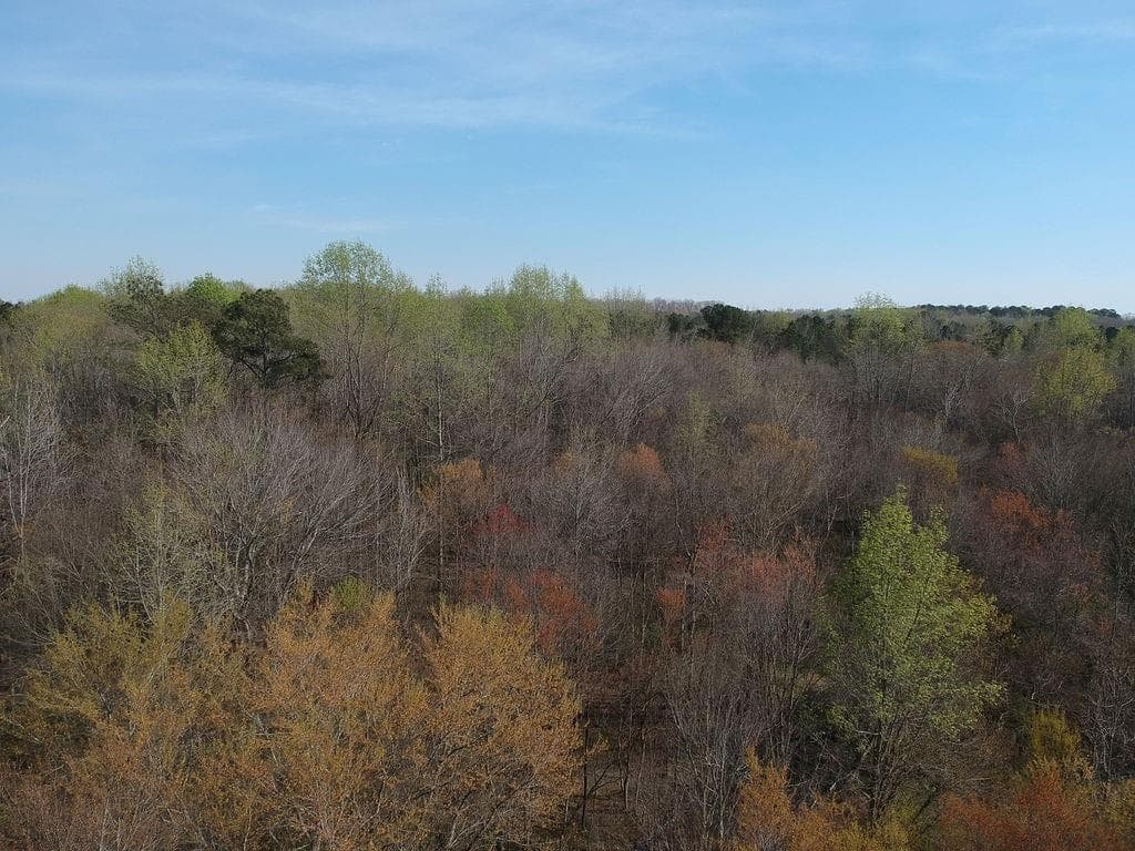 other for sale at 0 Cobb Road, Covington, GA 30014 — photo 5