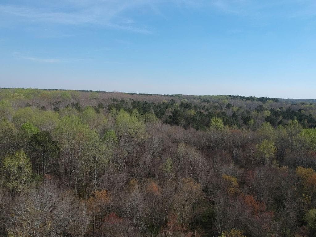 other for sale at 0 Cobb Road, Covington, GA 30014 — photo 6