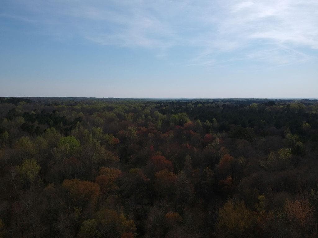 other for sale at 0 Cobb Road, Covington, GA 30014 — photo 7
