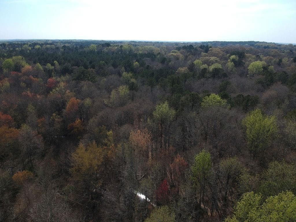 other for sale at 0 Cobb Road, Covington, GA 30014 — photo 9
