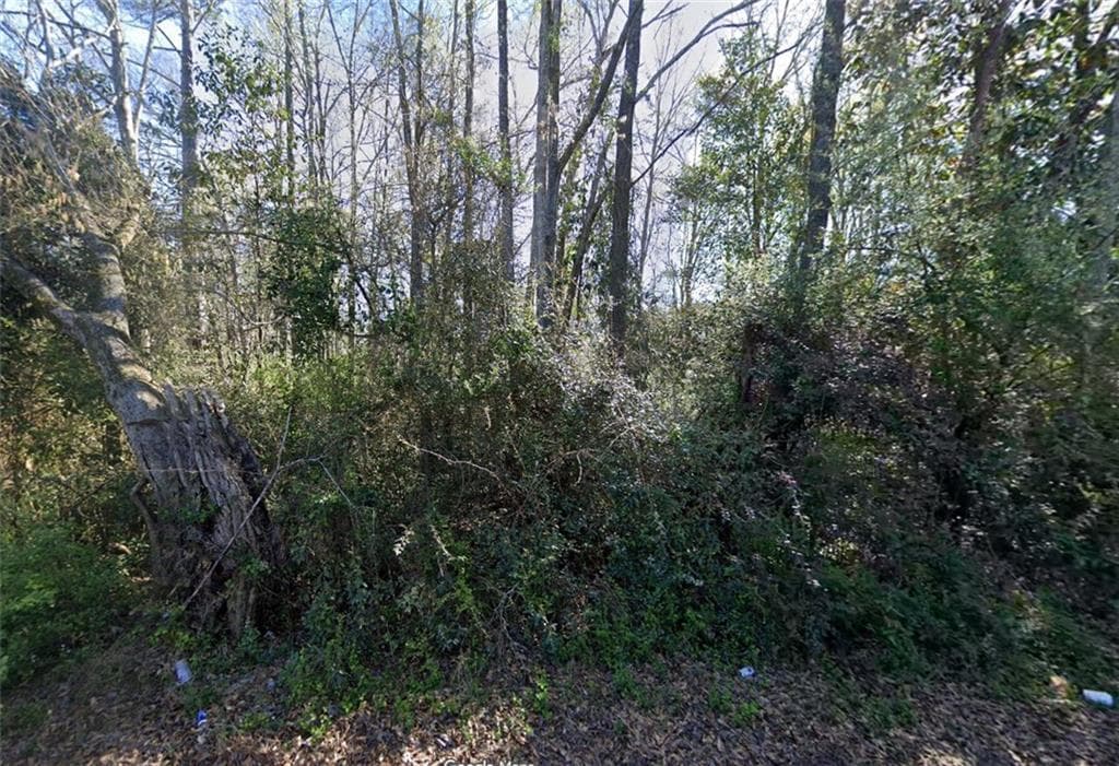 other for sale at 33 E Woodard Road, Hogansville, GA 30230 — photo 2