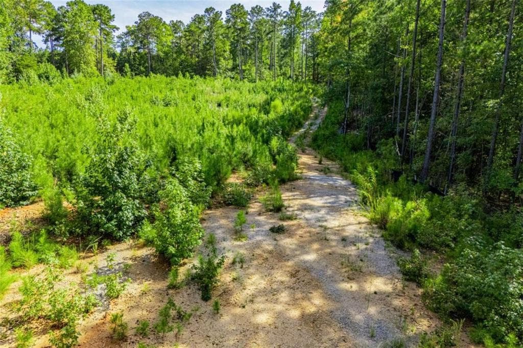 other for sale at 7270 Rand Drive, Douglasville, GA 30135 — photo 7