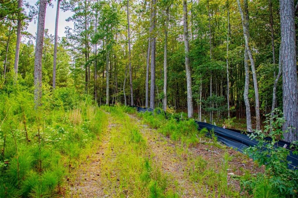 other for sale at 7270 Rand Drive, Douglasville, GA 30135 — photo 10