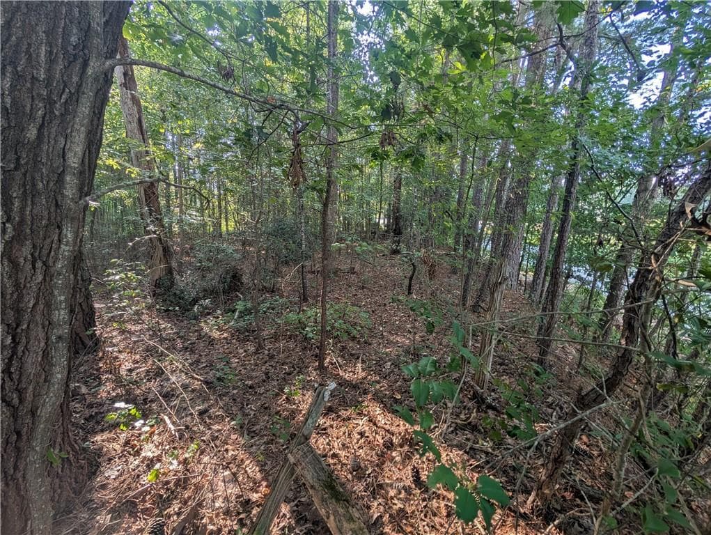 unimproved land for sale at 1195 Christian SE Circle, Conyers, GA 30013 — photo 6