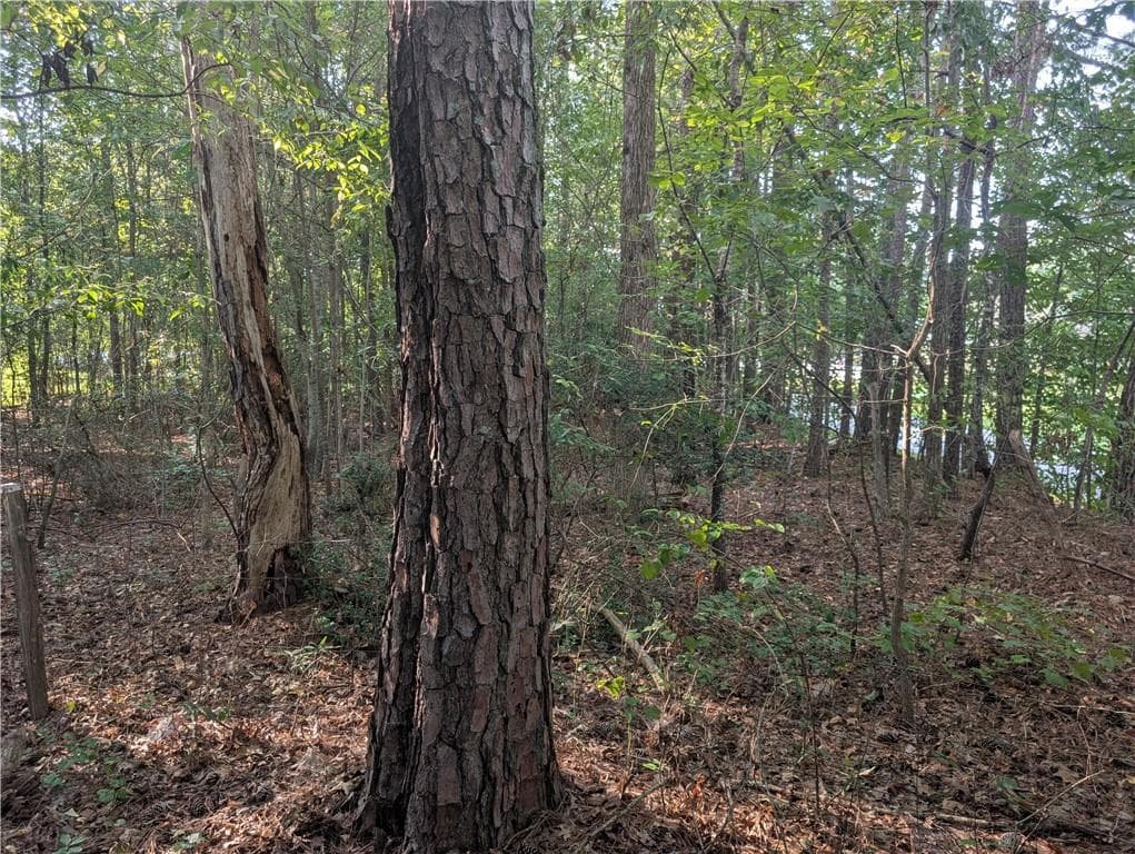 unimproved land for sale at 1195 Christian SE Circle, Conyers, GA 30013 — photo 7
