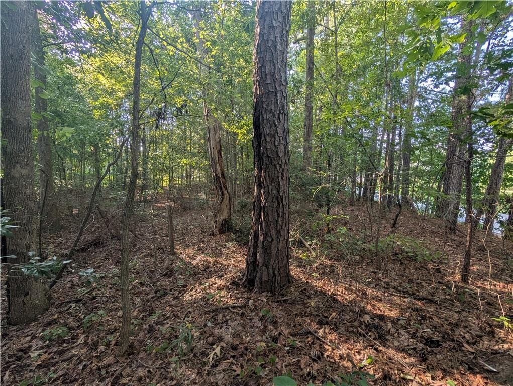 unimproved land for sale at 1195 Christian SE Circle, Conyers, GA 30013 — photo 8