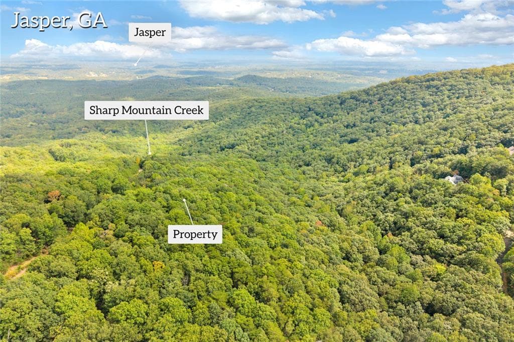 other for sale at 98 Sharp Mountain Parkway, Jasper, GA 30143 — photo 3