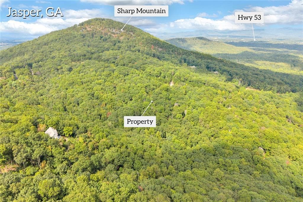 other for sale at 98 Sharp Mountain Parkway, Jasper, GA 30143 — photo 4