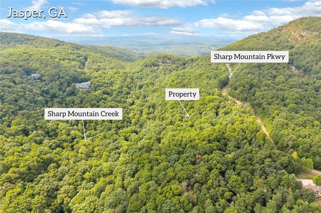other for sale at 98 Sharp Mountain Parkway, Jasper, GA 30143 — photo 5