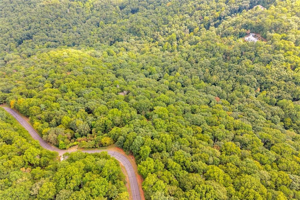 other for sale at 98 Sharp Mountain Parkway, Jasper, GA 30143 — photo 6