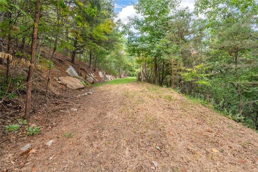 other for sale at 98 Sharp Mountain Parkway, Jasper, GA 30143 — photo 8