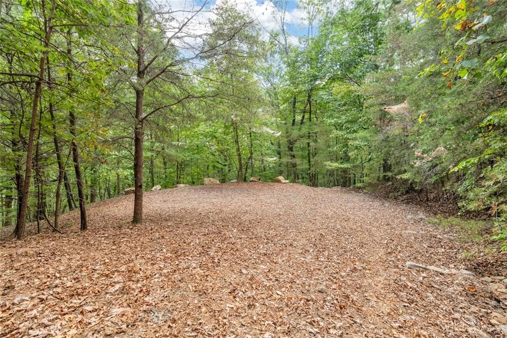 other for sale at 98 Sharp Mountain Parkway, Jasper, GA 30143 — photo 9