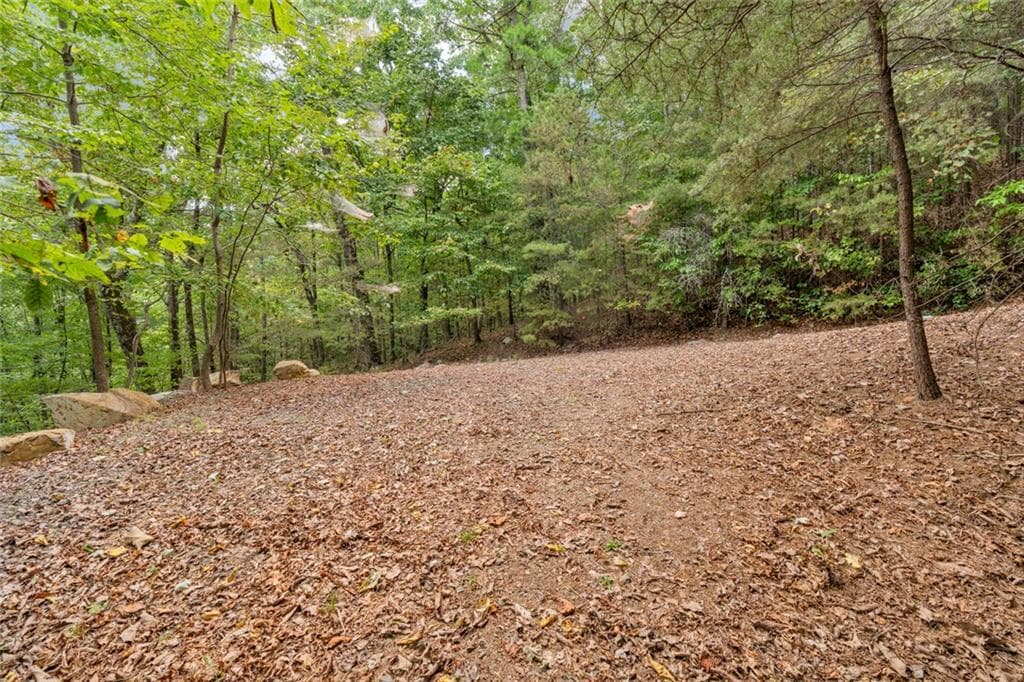 other for sale at 98 Sharp Mountain Parkway, Jasper, GA 30143 — photo 10