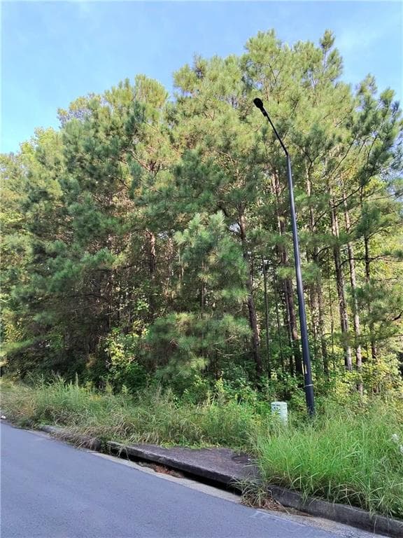 unimproved land for sale at 203 Mary Hill Lane, Douglasville, GA 30134 — photo 2