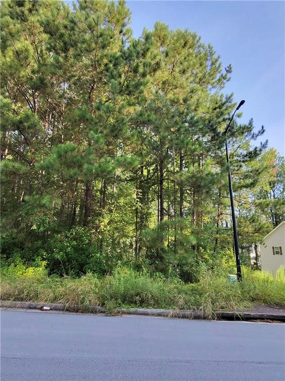 unimproved land for sale at 203 Mary Hill Lane, Douglasville, GA 30134 — photo 3
