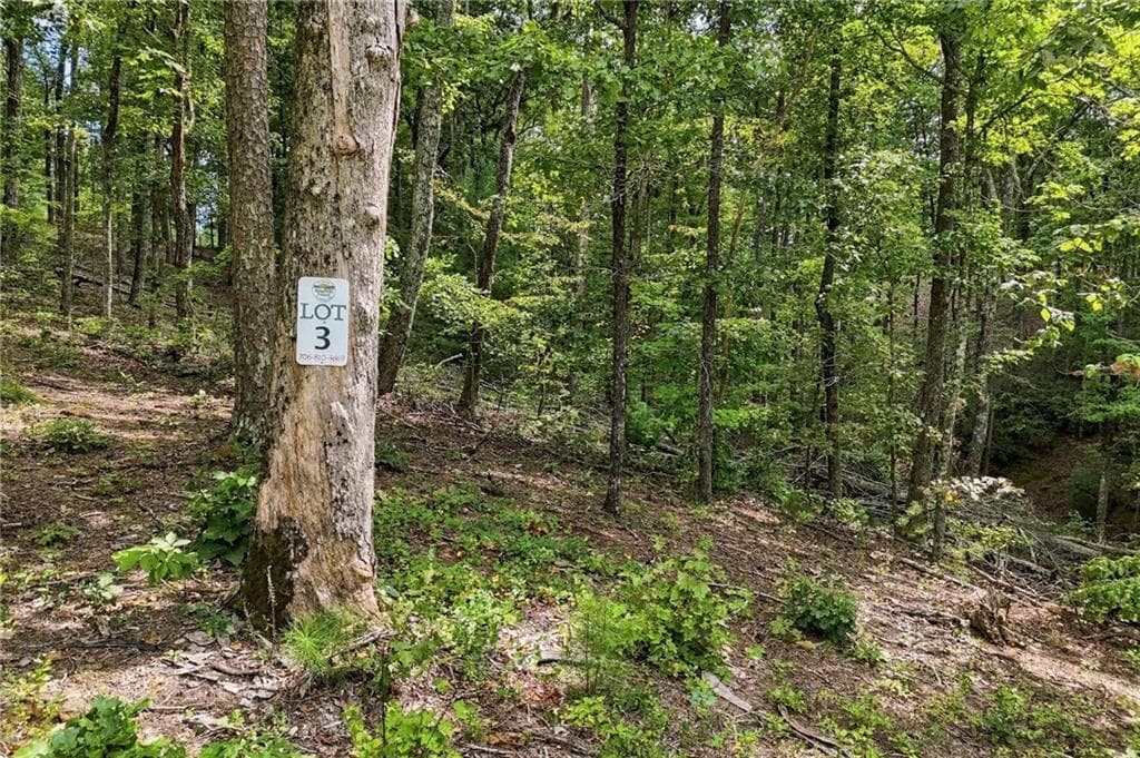 unimproved land for sale at 3 Turkey Spur Drive, Ellijay, GA 30540 — photo 1 of 20