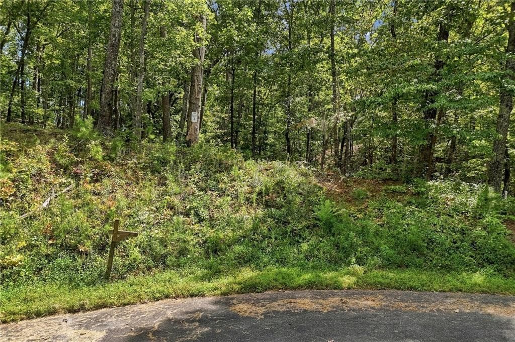 unimproved land for sale at 3 Turkey Spur Drive, Ellijay, GA 30540 — photo 2