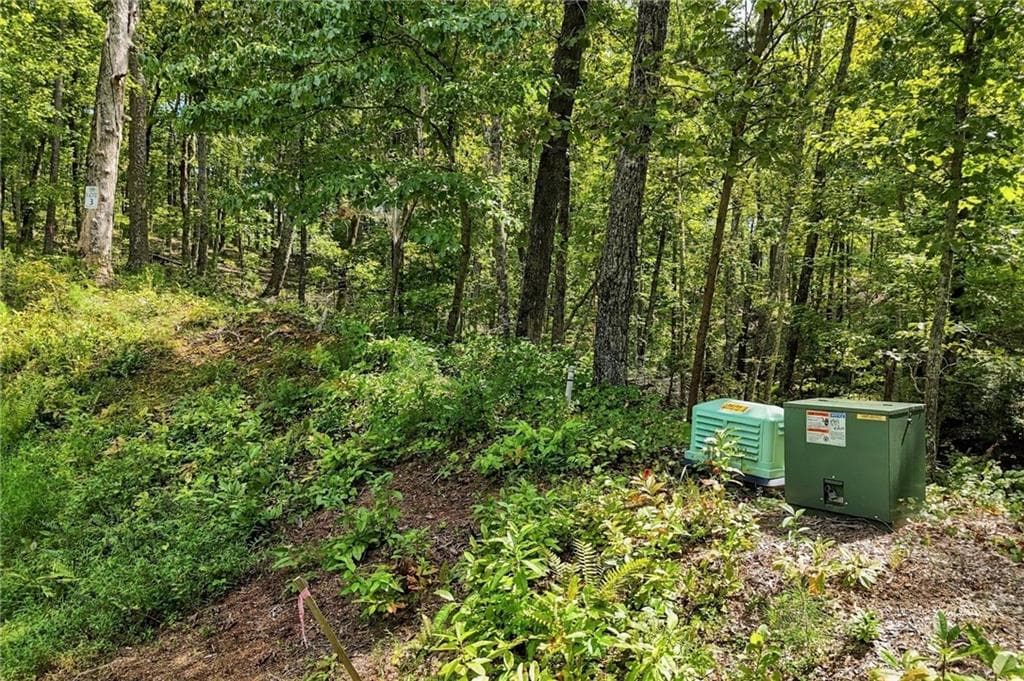 unimproved land for sale at 3 Turkey Spur Drive, Ellijay, GA 30540 — photo 3