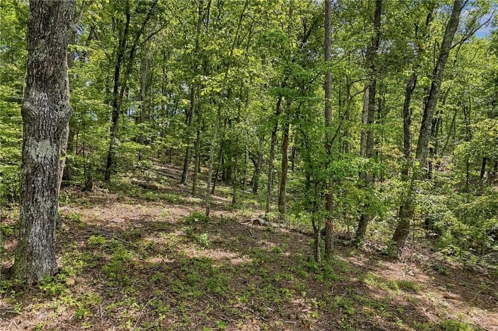 unimproved land for sale at 3 Turkey Spur Drive, Ellijay, GA 30540 — photo 4